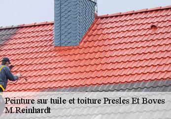 Peinture sur tuile et toiture  presles-et-boves-02370 M.Reinhardt