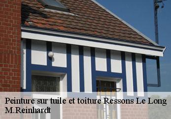 Peinture sur tuile et toiture ressons-le-long-02290 M.Reinhardt