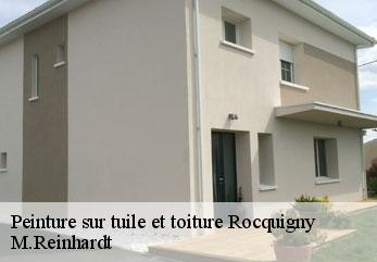Peinture sur tuile et toiture  rocquigny-02260 M.Reinhardt
