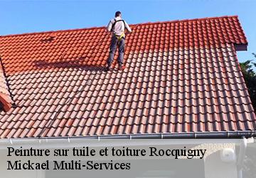 Peinture sur tuile et toiture rocquigny-02260 Mickael Multi-Services