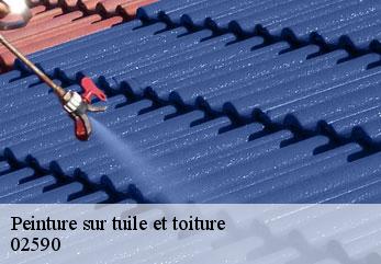Peinture sur tuile et toiture  roupy-02590 M.Reinhardt