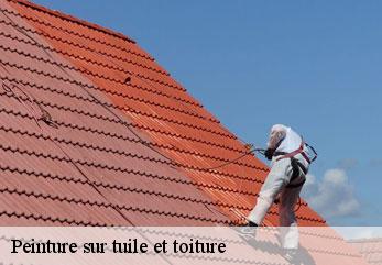 Peinture sur tuile et toiture  rozieres-sur-crise-02200 M.Reinhardt