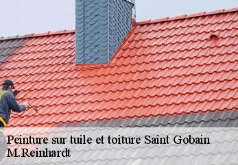 Peinture sur tuile et toiture  saint-gobain-02410 M.Reinhardt