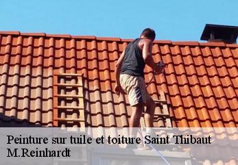 Peinture sur tuile et toiture  saint-thibaut-02220 M.Reinhardt