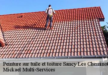 Peinture sur tuile et toiture sancy-les-cheminots-02880 Mickael Multi-Services