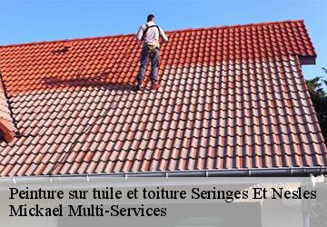 Peinture sur tuile et toiture seringes-et-nesles-02130 Mickael Multi-Services