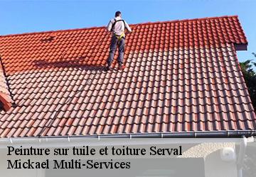 Peinture sur tuile et toiture serval-02160 Mickael Multi-Services