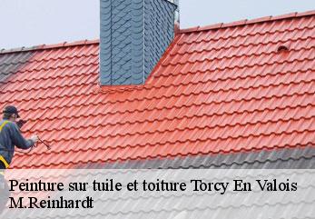 Peinture sur tuile et toiture torcy-en-valois-02810 M.Reinhardt