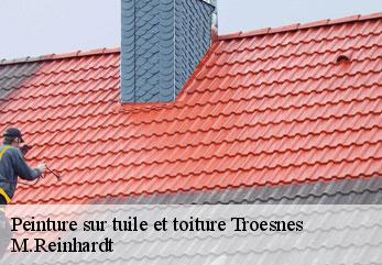 Peinture sur tuile et toiture  troesnes-02460 M.Reinhardt