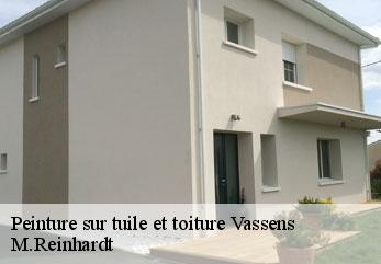 Peinture sur tuile et toiture vassens-02290 M.Reinhardt