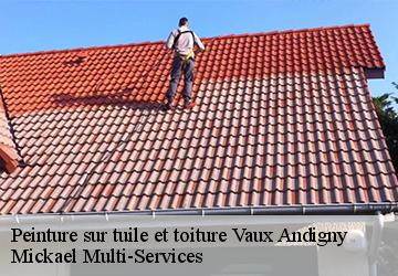 Peinture sur tuile et toiture vaux-andigny-02110 Mickael Multi-Services