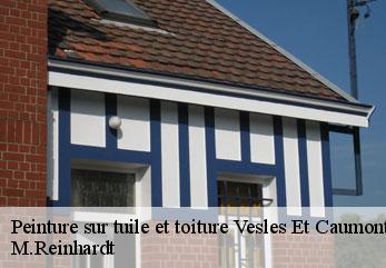 Peinture sur tuile et toiture vesles-et-caumont-02350 M.Reinhardt