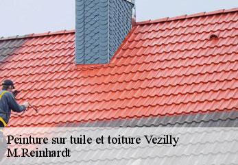 Peinture sur tuile et toiture  vezilly-02130 M.Reinhardt