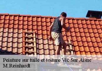 Peinture sur tuile et toiture  vic-sur-aisne-02290 M.Reinhardt