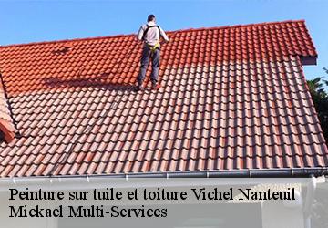 Peinture sur tuile et toiture vichel-nanteuil-02210 Mickael Multi-Services
