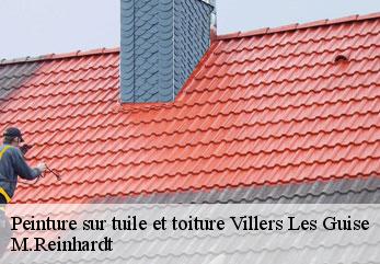 Peinture sur tuile et toiture  villers-les-guise-02120 M.Reinhardt