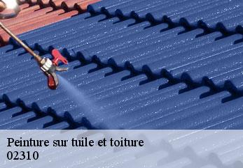 Peinture sur tuile et toiture  villiers-saint-denis-02310 M.Reinhardt