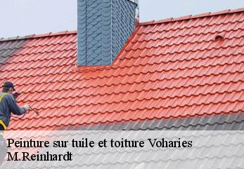 Peinture sur tuile et toiture voharies-02140 M.Reinhardt