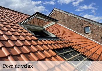 Pose de velux  amifontaine-02190 M.Reinhardt