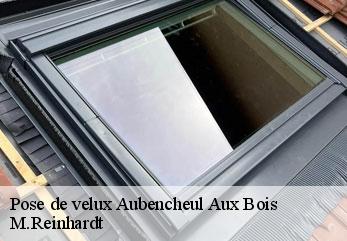 Pose de velux  aubencheul-aux-bois-02420 M.Reinhardt