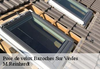 Pose de velux  bazoches-sur-vesles-02220 M.Reinhardt