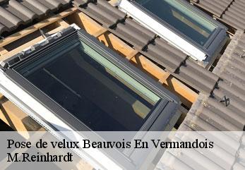 Pose de velux  beauvois-en-vermandois-02590 M.Reinhardt