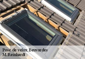 Pose de velux  beuvardes-02130 M.Reinhardt