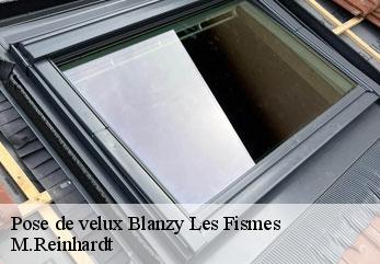 Pose de velux  blanzy-les-fismes-02160 M.Reinhardt