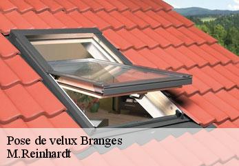 Pose de velux  branges-02130 M.Reinhardt