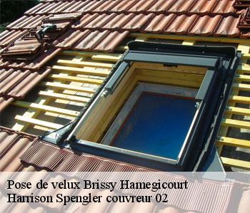 Pose de velux  brissy-hamegicourt-02240 Harrison Spengler couvreur 02