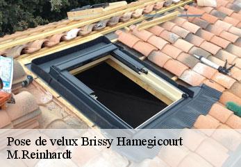 Pose de velux  brissy-hamegicourt-02240 M.Reinhardt