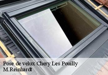 Pose de velux  chery-les-pouilly-02000 M.Reinhardt