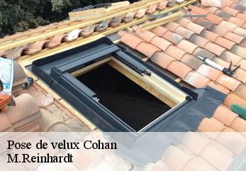 Pose de velux  cohan-02130 M.Reinhardt
