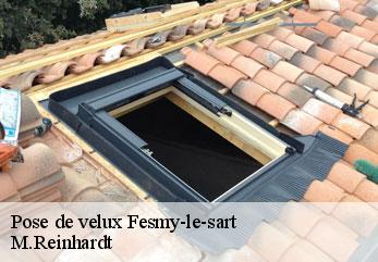Pose de velux fesmy-le-sart-02450 M.Reinhardt