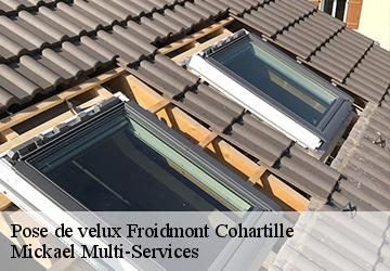 Pose de velux  froidmont-cohartille-02270 Harrison Spengler couvreur 02