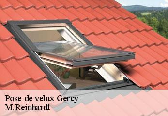 Pose de velux  gercy-02140 M.Reinhardt