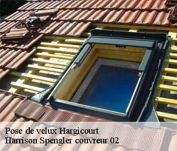 Pose de velux  hargicourt-02420 Harrison Spengler couvreur 02