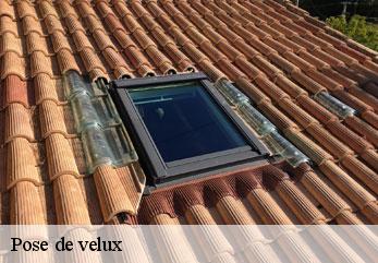 Pose de velux  longueval-barbonval-02160 M.Reinhardt