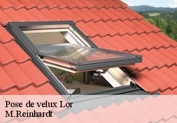 Pose de velux  lor-02190 M.Reinhardt