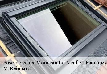 Pose de velux  monceau-le-neuf-et-faucouzy-02270 M.Reinhardt