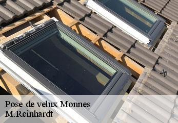 Pose de velux monnes-02470 M.Reinhardt