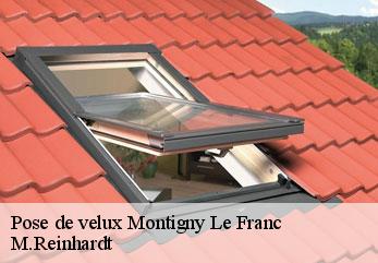 Pose de velux  montigny-le-franc-02250 M.Reinhardt