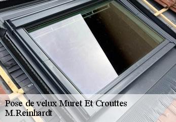 Pose de velux  muret-et-crouttes-02210 M.Reinhardt