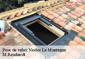 Pose de velux nesles-la-montagne-02400 M.Reinhardt