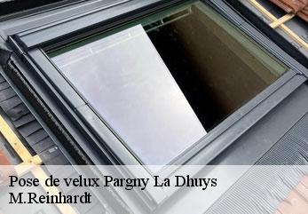 Pose de velux  pargny-la-dhuys-02330 M.Reinhardt