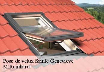 Pose de velux  sainte-genevieve-02340 M.Reinhardt