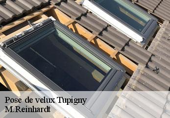 Pose de velux  tupigny-02120 M.Reinhardt