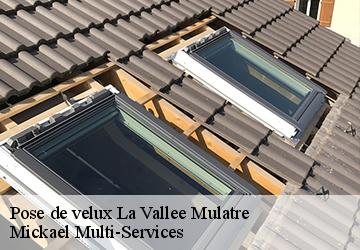 Pose de velux la-vallee-mulatre-02110 Mickael Multi-Services