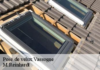 Pose de velux  vassogne-02160 M.Reinhardt