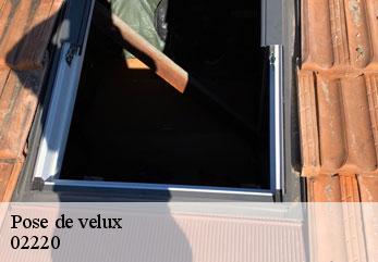 Pose de velux  ville-savoye-02220 M.Reinhardt